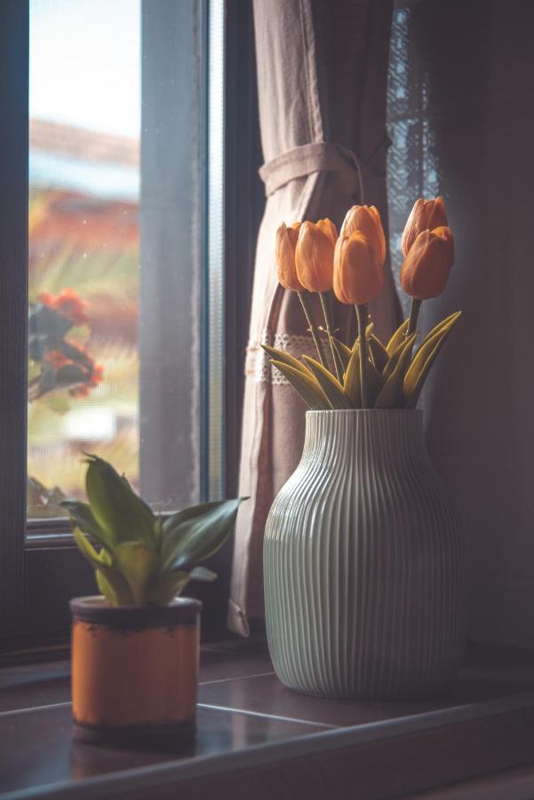 Hauptman Apartment *